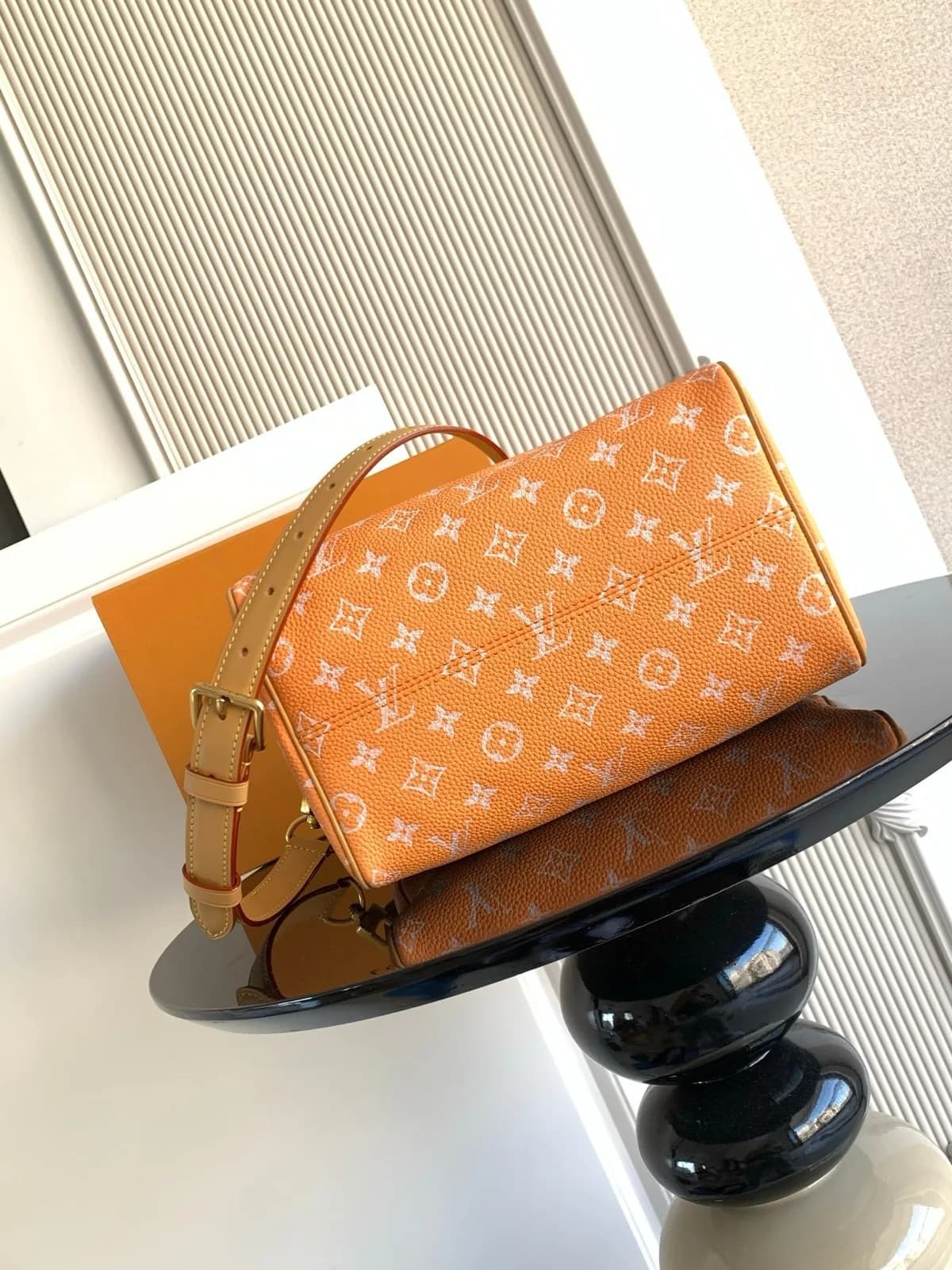 Bolsa Louis Vuitton 10